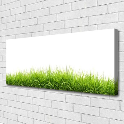 Zdjęcie na płótnie Naturalny Dywan Trawy