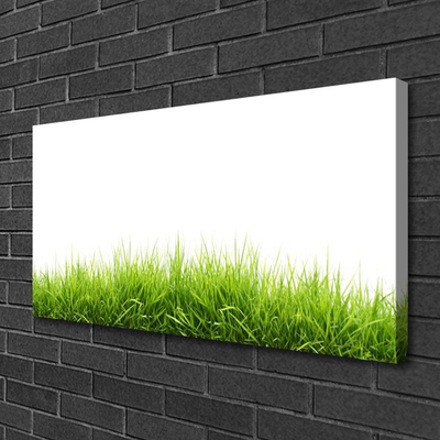 Zdjęcie na płótnie Naturalny Dywan Trawy