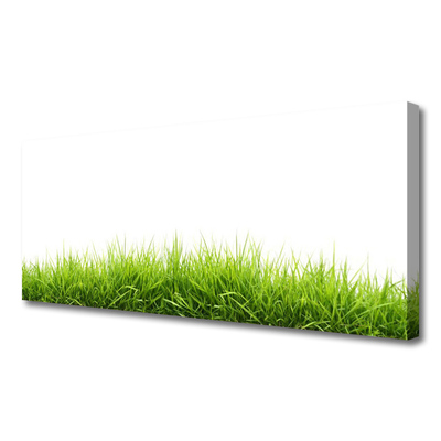 Zdjęcie na płótnie Naturalny Dywan Trawy