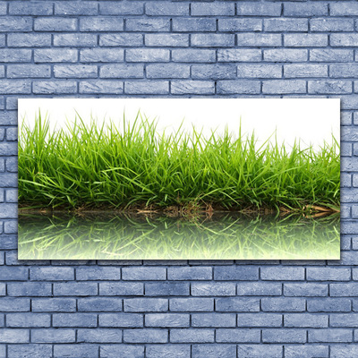 Zdjęcie na płótnie Świeżość Trawy nad Wodą