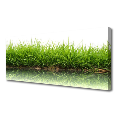 Zdjęcie na płótnie Świeżość Trawy nad Wodą