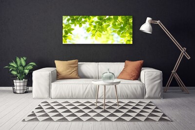 Obraz na płótnie Świeże Zielone Liście