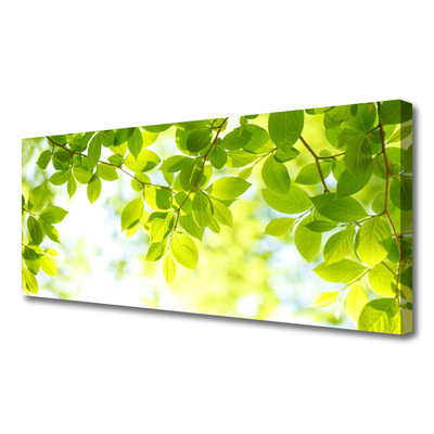 Obraz na płótnie Świeże Zielone Liście