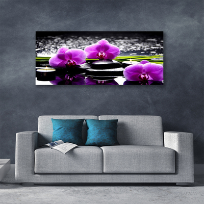 Obraz drukowany na płótnie Egzotyczny Kwiat Orchidei