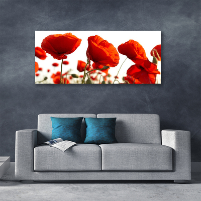 Fotoobraz na płótnie Czerwone Maki o Poranku