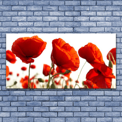 Fotoobraz na płótnie Czerwone Maki o Poranku
