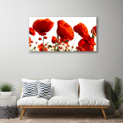Fotoobraz na płótnie Czerwone Maki o Poranku