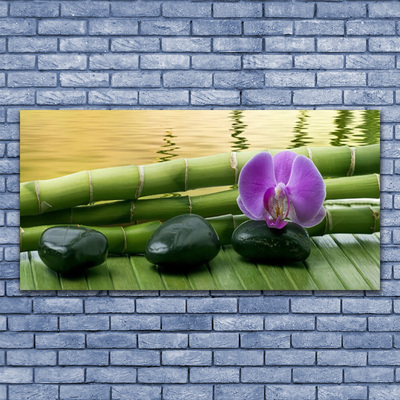 Obraz na Płótnie Kwiat Kamienie Bambus Natura