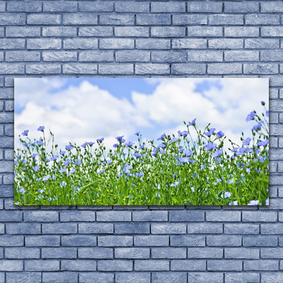 Obraz na płótnie Harmonijna Flora Ogrodowa