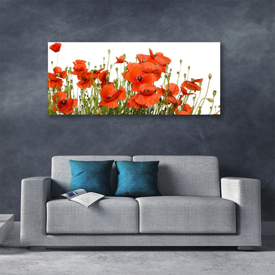 Obraz na płótnie Polne Maki w Słońcu