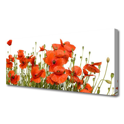 Obraz na płótnie Polne Maki w Słońcu