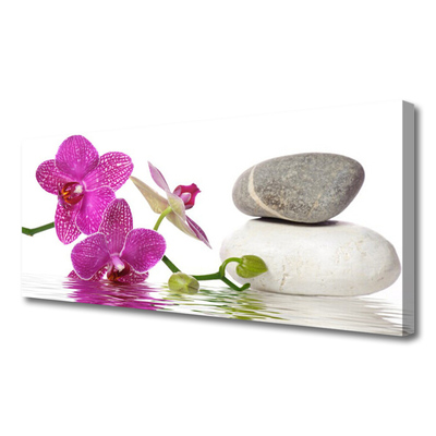 Zdjęcie na płótnie Biały Kwiat w Stylu Modern