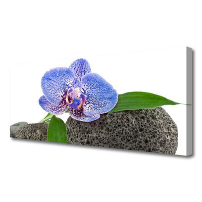 Zdjęcie na płótnie Kwiatowa Elegancja