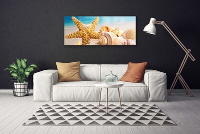 Obraz na płótnie Nadmorskie Skarby: Rozgwiazda