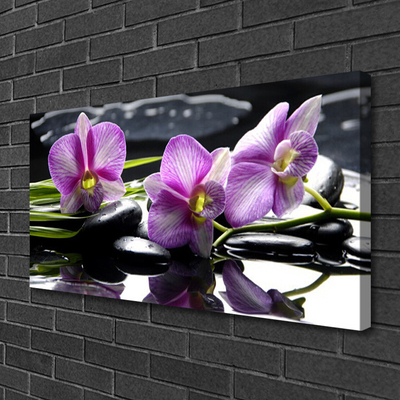 Obraz na Płótnie Kwiat Orchidea Roślina