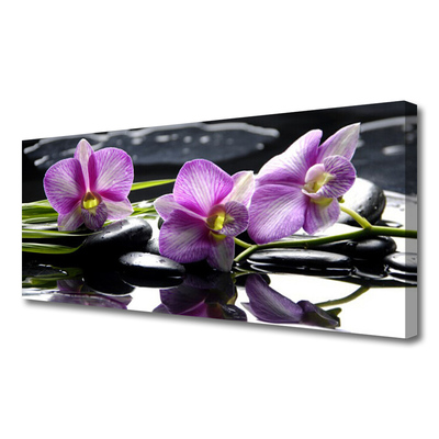 Obraz na Płótnie Kwiat Orchidea Roślina