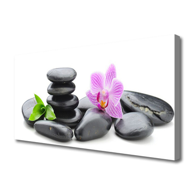 Obraz na Płótnie Kwiat Kamienie Zen
