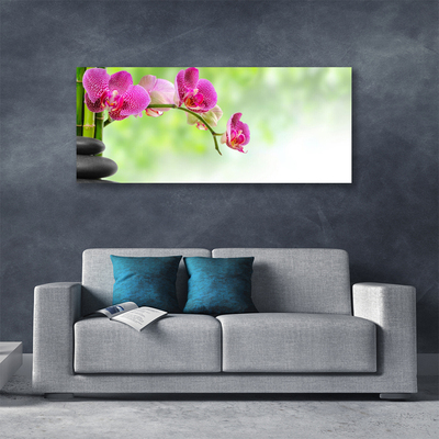 Obraz na płótnie Natura w Objęciach Bambusa