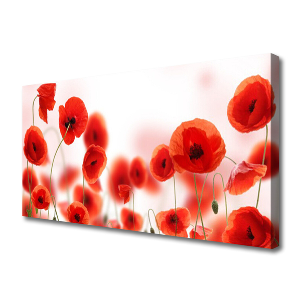 Obraz canvas na ścianę Czerwone Maki w Polu