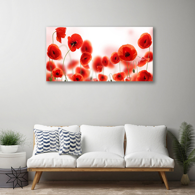 Obraz canvas na ścianę Czerwone Maki w Polu