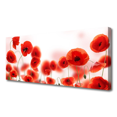 Obraz canvas na ścianę Czerwone Maki w Polu