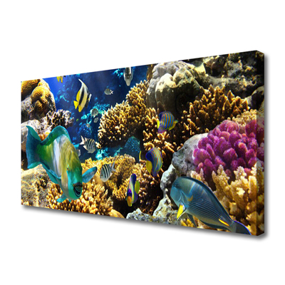 Obraz na Płótnie Rafa Koralowa Natura
