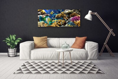 Obraz canvas na ścianę Kolorowe Życie Rafy Koralowej