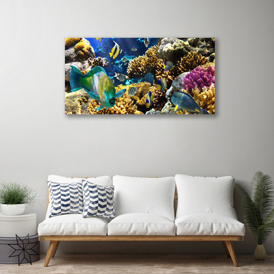 Obraz canvas na ścianę Kolorowe Życie Rafy Koralowej