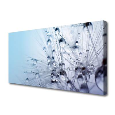 Obraz canvas na ścianę Puszysta Kula Mniszka