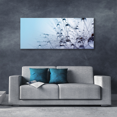 Obraz canvas na ścianę Puszysta Kula Mniszka