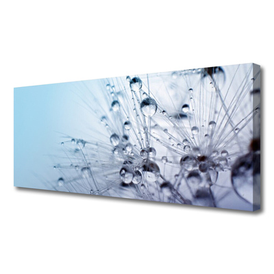 Obraz canvas na ścianę Puszysta Kula Mniszka