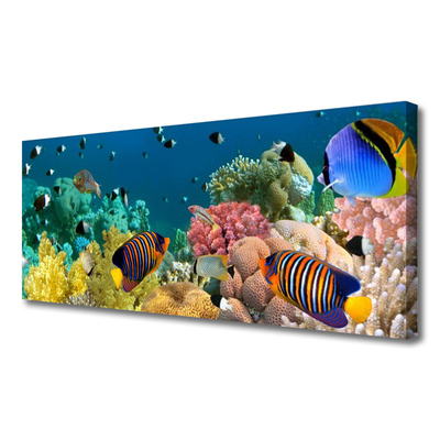 Obraz na płótnie Podwodny Świat Rafy