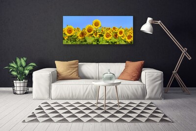 Obraz na Płótnie Słonecznik Kwiat Roślina