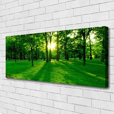 Obraz na płótnie Parkowe Alejki w Słońcu