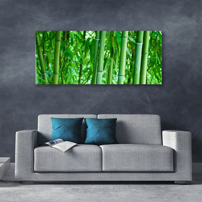 Obraz na Płótnie Bambus Łodyga Roślina