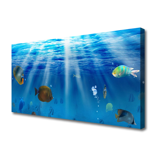 Obraz na płótnie Egzotyczna Ryba w Tonii