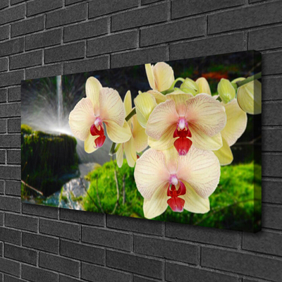 Obraz na płótnie Słońce Przebijające przez Korony