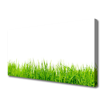 Obraz na płótnie Soczysta Zielona Polana