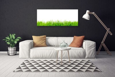 Obraz na płótnie Soczysta Zielona Polana