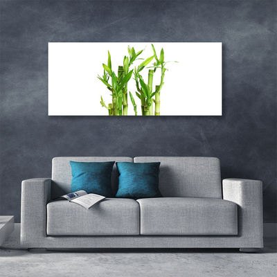Obraz na Płótnie Bambus Łodyga Kwiat Roślina