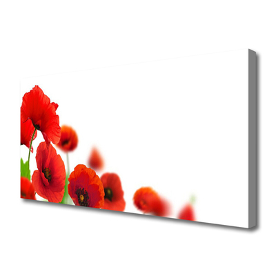 Zdjęcie na płótnie Czerwone Maki w Słońcu