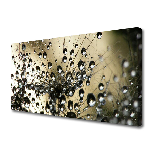 Obraz na płótnie Lekkość Mniszka Lekarskiego