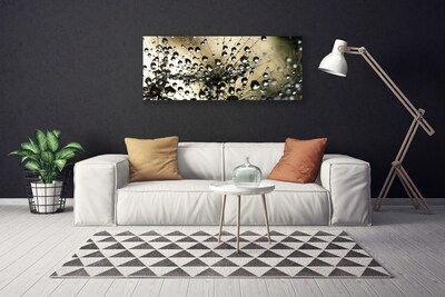 Obraz na płótnie Lekkość Mniszka Lekarskiego