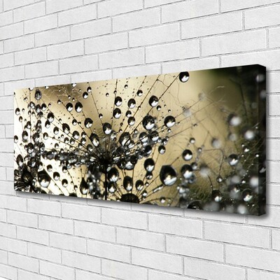 Obraz na płótnie Lekkość Mniszka Lekarskiego