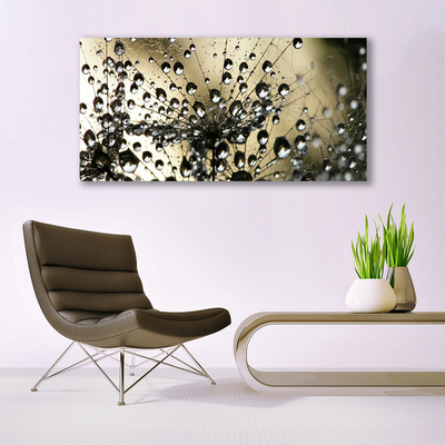 Obraz na płótnie Lekkość Mniszka Lekarskiego