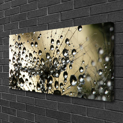 Obraz na płótnie Lekkość Mniszka Lekarskiego