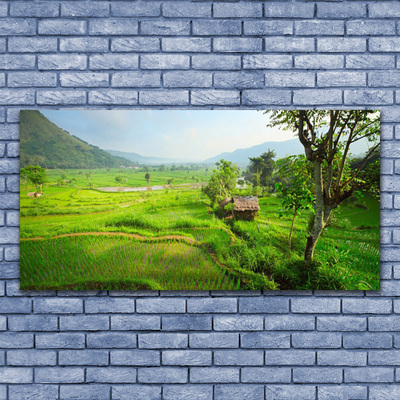 Obraz na płótnie Sielska Zielona Łąka