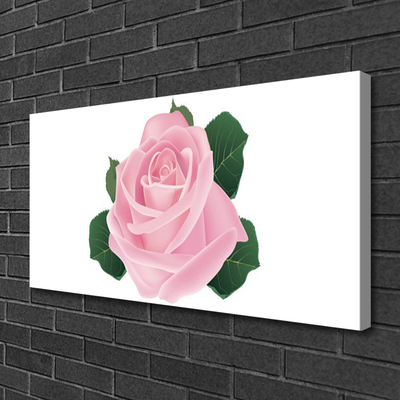 Obraz na Płótnie Róża Kwiat Roślina Natura