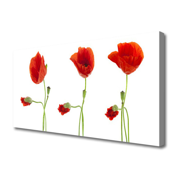 Obraz canvas na ścianę Czerwone Maki w Słońcu