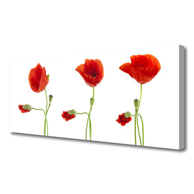 Obraz canvas na ścianę Czerwone Maki w Słońcu